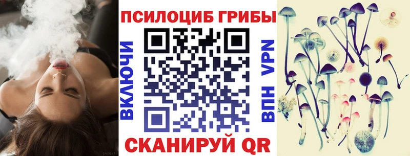 Псилоцибиновые грибы мицелий  Нюрба 